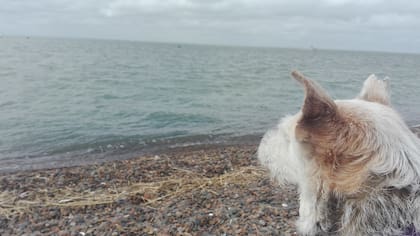 "Mona estaba cansada, sus ojos me lo decían".