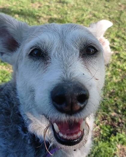 Mona falleció en noviembre de 2024.