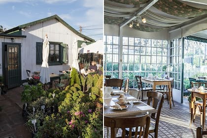 El salón ofrece exquisiteces a la hora de tomar el té, un ambiente rodeado de plantas y el delicioso aroma floral