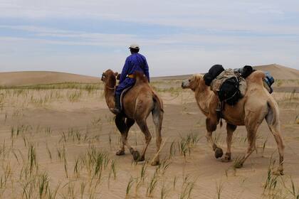 Mongolia, desierto de Gobi.