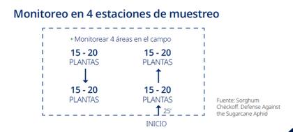 Moniteoreo en cuatro estaciones de muestreo