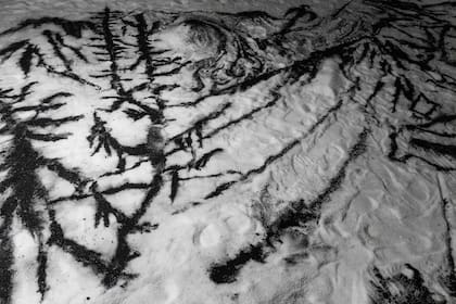 Monitor Yin Yang, un dibujo de un "desampado", hecho con carbón sobre sal