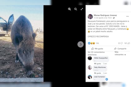 Monserrat Jiménez pidió ayuda en redes sociales (Captura Facebook)