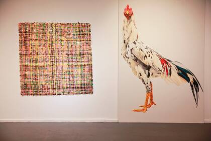 Obras de Juliana Iriart y Cynthia Cohen