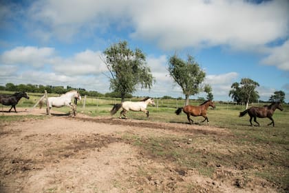 Montar a caballo en los hermosos alrededores de San Antonio de Areco es una excelente introducción a la cultura gaucha.