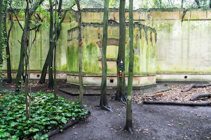 Montelén. Vista lateral.