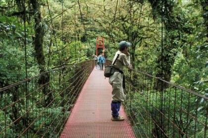 Monteverde es un pionero. Los modelos de turismo sustentable para el país provienen del trabajo que la gente estaba haciendo ahí