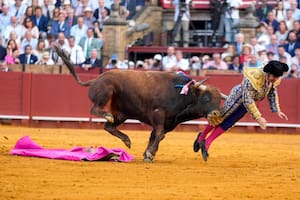 Un famoso torero español sufrió una brutal cornada durante un evento en Sevilla