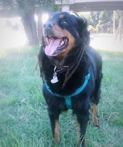 Morena apareció en la puerta del trabajo de Mariana y jamás imaginó que le cambiaría la vida