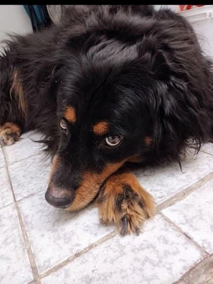 Morena, la protagonista de esta historia de amor