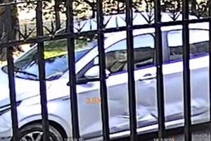 Morena Rial, al volante