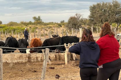 Morena y sus papás controlan que las vacas tengan agua para tomar