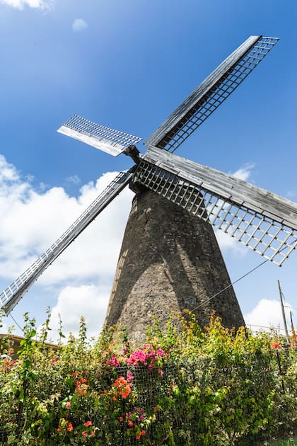 Morgan Lewis Mill, único molino en pie de la isla.