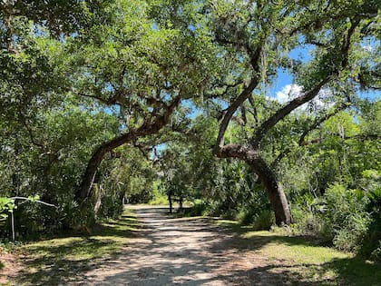 Morgan Park es una de las paradas imperdibles para los amantes de la naturaleza que visitan la ciudad de Arcadia (visitdesoto.com)