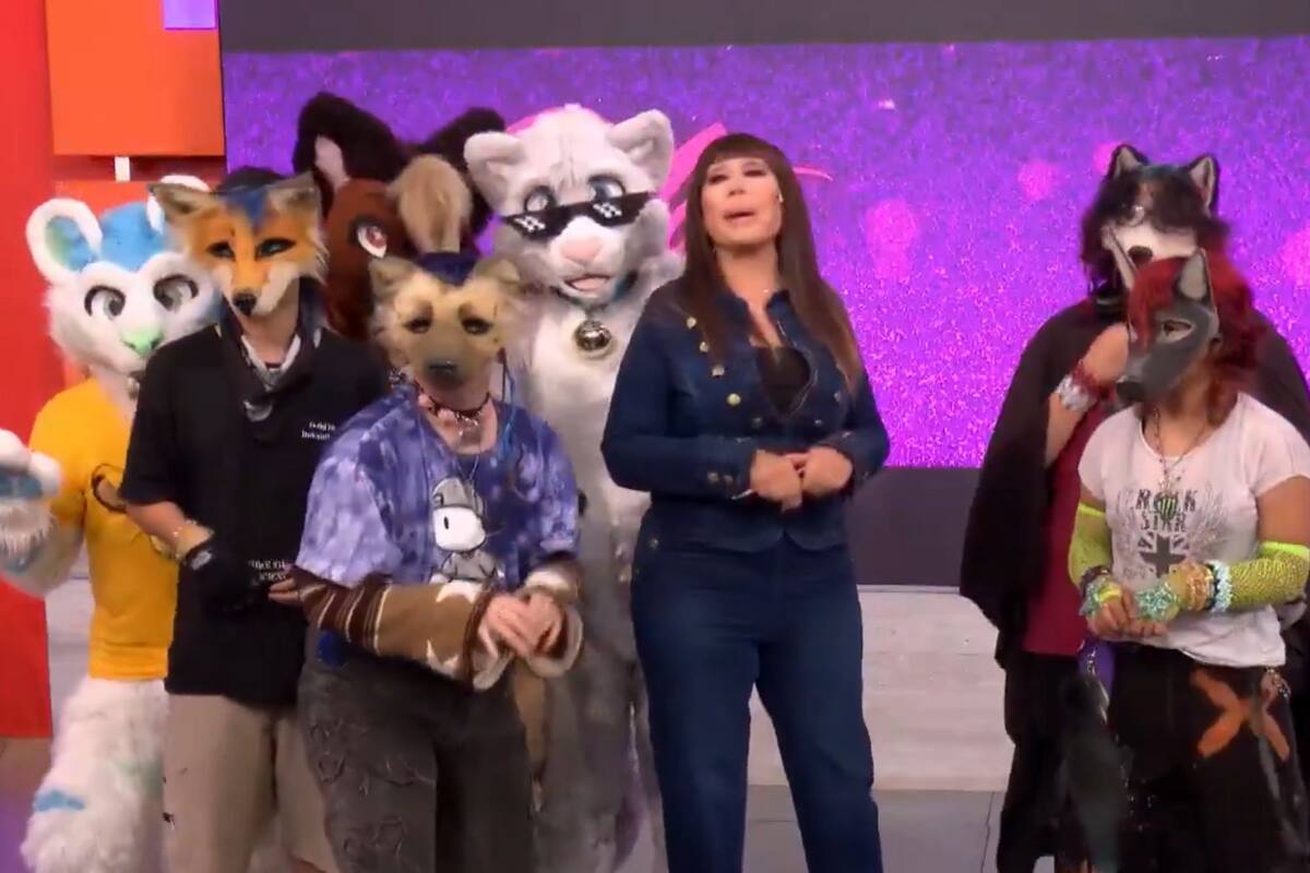 O extraordinário passeio de Moria Kazan com therians e furries. “Estranhos geralmente são muito hostis” O extraordinário passeio de Moria Kazan com therians e furries. “Estranhos geralmente são muito hostis”