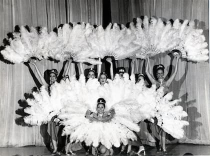 Las plumas, símbolo distintivo del género