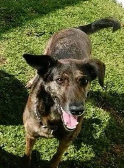 Morita volvió a jugar y correr por muchas años más.