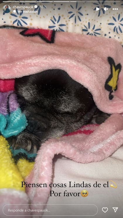 Moro decaído entre las frazadas