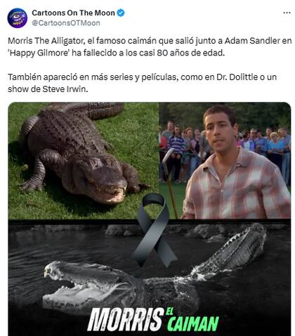 Morris fue encontrado en el patio trasero de una casa en Los Ángeles y terminó siendo uno de los caimanes más famosos del cine. Foto: X @CartoonsOTMoon
