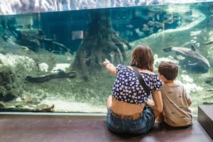 Mostrarles al mundo y darles estabilidad son dos factores que se repiten, pero hay otros menos felices que también comparten