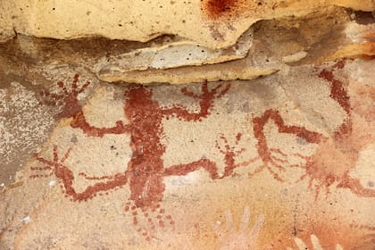 Motivo biomorfos de lagartos o matuastos