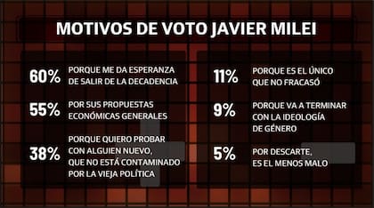 Motivos de voto a Javier Milei