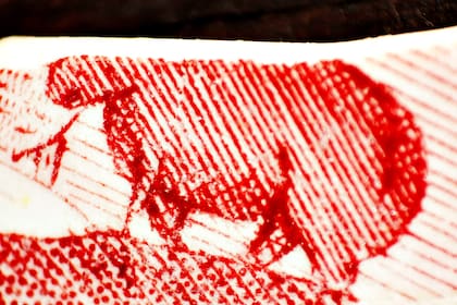 Motivos en rojo en porcelana Spode