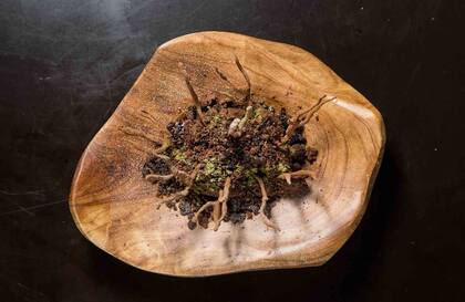 Mousse de chocolate. La preparan con 85% de puro cacao, un toque de oliva y sal de Maras rallada al final.