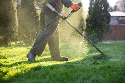 La recomendación en otoño es podar el césped con menor frecuencia, cuidándose de que no quede muy corto