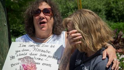 Mucha gente repudió la decisión de matar al animal