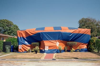 Muchas casas de Miami piden el servicio de fumigación de termitas