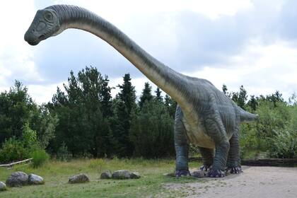 Muchas dolencias y enfermedades no dejan huella alguna en lo que queda de los dinosaurios, por lo que en la mayoría de los casos es difícil saber qué los mató.