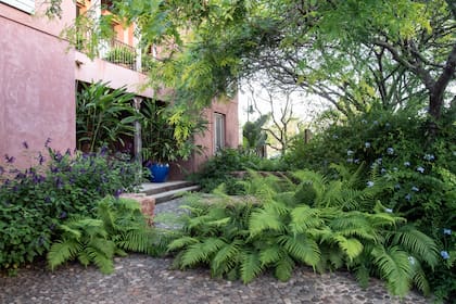 Muchas especies, como los helechos, agradecen los entornos frescos y sombríos: solo hay que elegir las plantas correctas