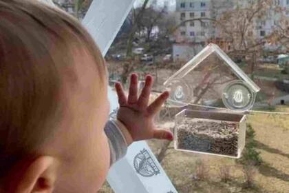 Muchas familias siguen las indicaciones de encerrarse en sus casas