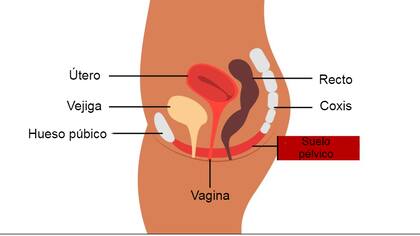 Muchas mujeres no saben que tienen un prolapso o solo tienen síntomas leves, pero para algunas puede tener un impacto real en su calidad de vida
