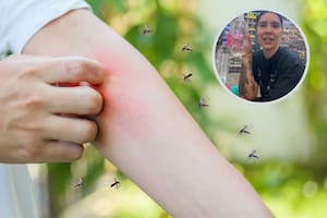 Muchas personas han encontrado que un producto de Avon es efectivo para repeler insectos por algunos de sus componentes