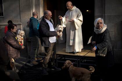 Ciudadanos de Madrid se acercan a la parroquia para bendecir a sus animales. Es una tradición anual, y se han visto perros, gatos, erizos, tortugas, y canarios, entre otros, esperando a ser bendecidos.
