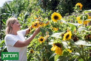Estas plantas nacieron para ensalada pero dan los mejores ramos de flores