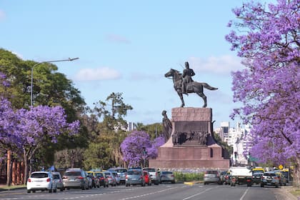 Los jacarandás porteños fueron incorporados al paisaje urbano por Carlos Thays