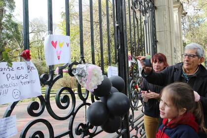 Mucho público dejó mensajes y flores para despedir a Pelusa