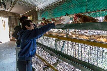 Muchos alumnos van al instituto de regiones alejadas