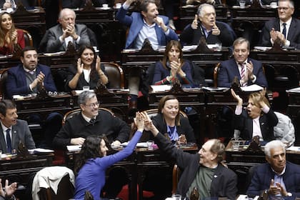 Muchos diputados festejaron el veto de la Ley de emergencia de discapacidad
