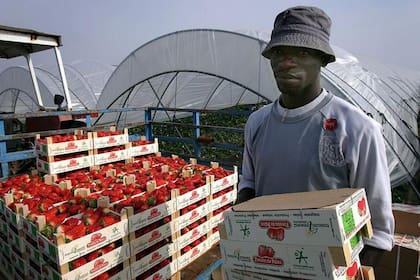 Muchos trabajadores extranjeros esperan ser contratados formalmente tras regularizarse.