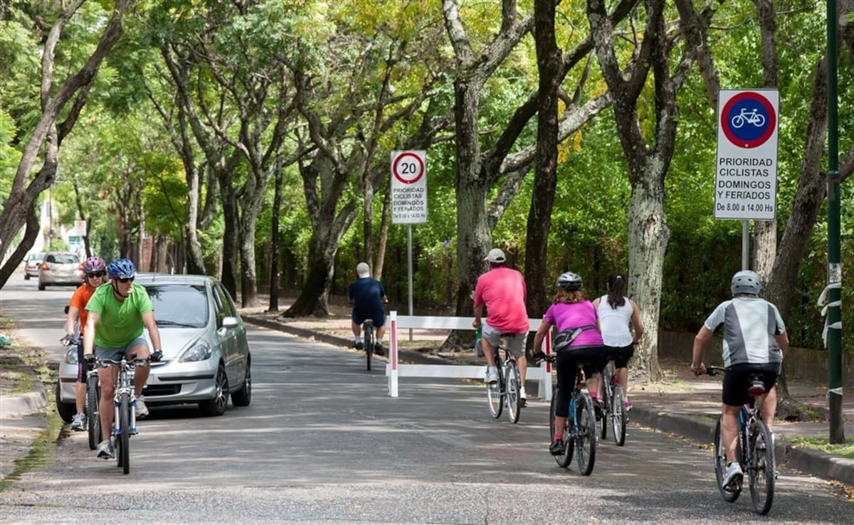 Vivir en la Zona Norte: Ventajas de elegir el Hipódromo o el Bajo