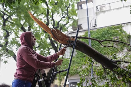 Muchos vecinos salieron a cortar ramas ellos mismos para liberar calles o puertas de casas
