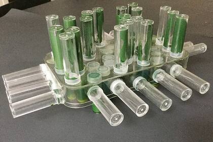 "COVID-A 19: La vacuna somos todos", de Carolina Tocalli (@amarilloydespues), de Recoleta