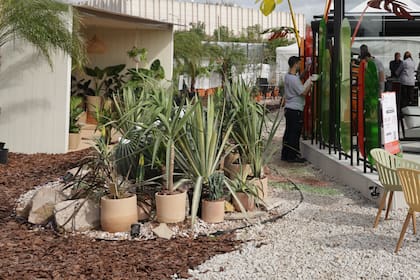 Para zonas más secas, especies xerófitas. Acá se las colocó en macetas de terracota, sobre un espacio delimitado con flejes (Elevate) piedras y corteza.