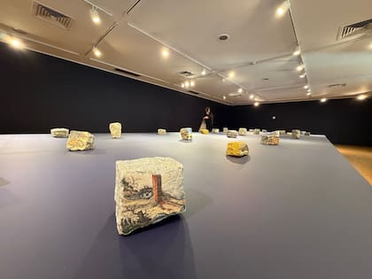 Muestra de Max Gómez Canle en el Museo Franklin Rawson