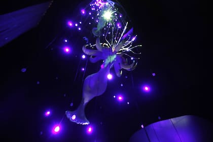 Abisal de Nicola Constantino en el Museo MAR