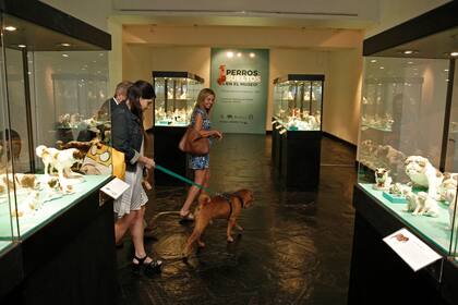 Muestra dedicada a los perros en el Museo de Arte Decorativo. Permiten ingresar con perros reales. El Shar pei Azafran de tres años recorrio la muestra con Soledad Alvarez Colombres, de campera de jean, y Cristina Alvarez Colombres.